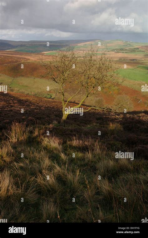 Landscape Staffordshire Moorlands Stock Photo - Alamy