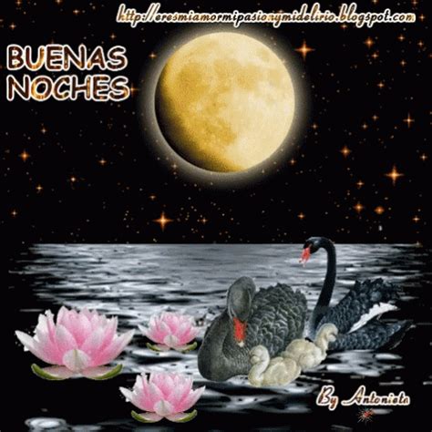 Buenas Noches Luna GIF - BuenasNoches Luna - Discover & Share GIFs