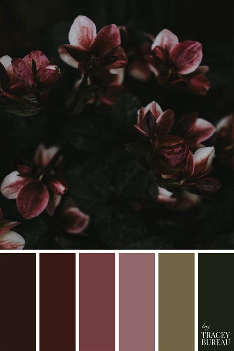 Flower Petals Color Palette | Color Palette | Color Scheme | Color Palette Inspiration | Color ...