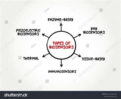 Types Biosensors Analytical Device Used Detection Stock Vector (Royalty Free) 2297440721 ...