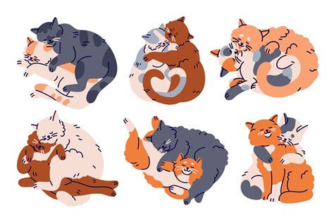 Cute cats in love hugging set | Animal Illustrations ~ Creative Market