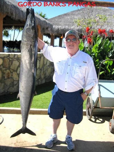 San Jose del Cabo Fish Report