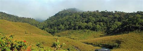 Horton Plains National Park | Attractions in Hatton | Love Sri Lanka