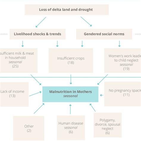 Causes of child malnutrition. | Download Scientific Diagram