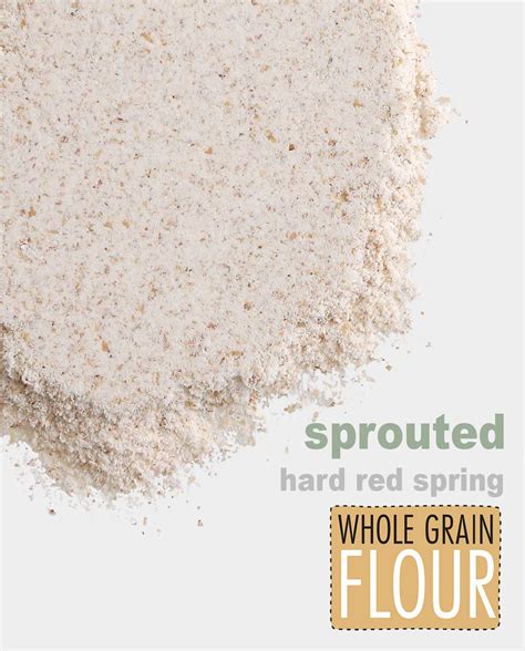 Sprouted Hard Red Spring Whole Grain Flour – Breadtopia