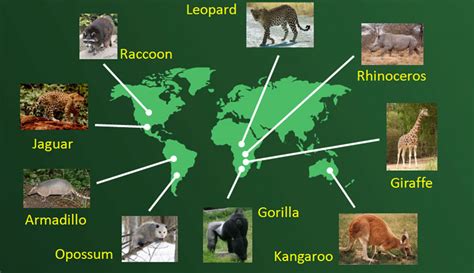 Examples Of Biogeography USA Stockists | www.micoope.com.gt