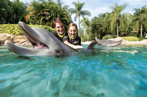 Swim With Dolphins at SeaWorld's Discovery Cove - Tallahassee Magazine