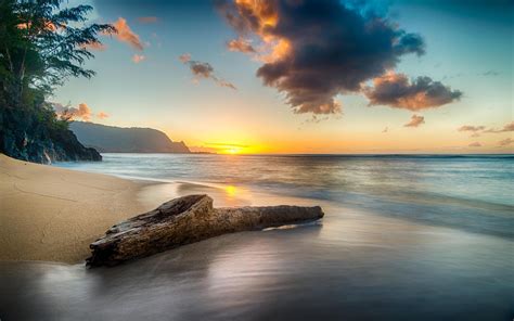 1920x1200 Driftwood On Beach At Sunset On North Shore Of Kauai 8k 1080P Resolution ,HD 4k ...