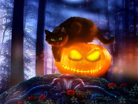 Black Cat Halloween Wallpapers - Top Free Black Cat Halloween Backgrounds - WallpaperAccess