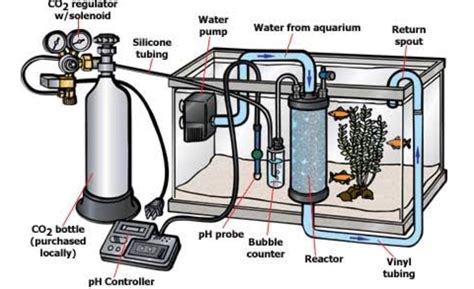 Planted Aquarium, Big Aquarium, Aquarium Setup, Aquascape Aquarium, Aquarium Filter, Aquarium ...