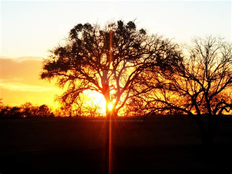 Arlington Sunset by MusicalLemon on DeviantArt