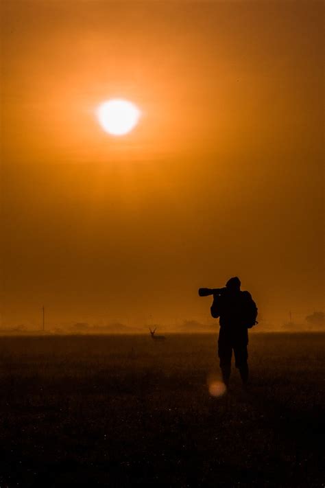 Straight Up Magical Silhouettes In Nature You Cannot Miss - ViewBug.com