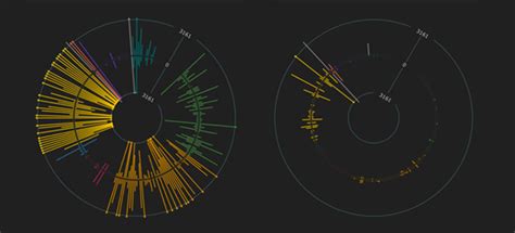 Infographic: Visualize the latest global migration data - Binary Studio