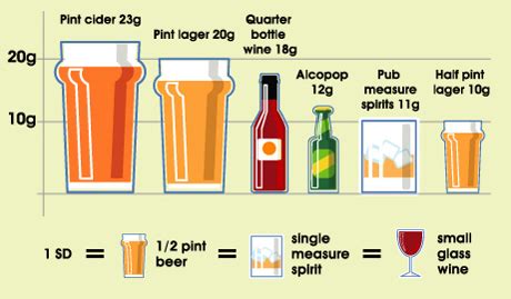 How Many Pints Are In A Fifth of Liquor - PostureInfoHub