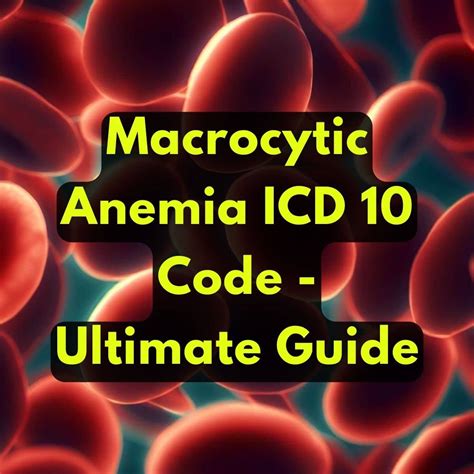 Avoid Macrocytic Anemia ICD 10 Code Error: The Ultimate Guide