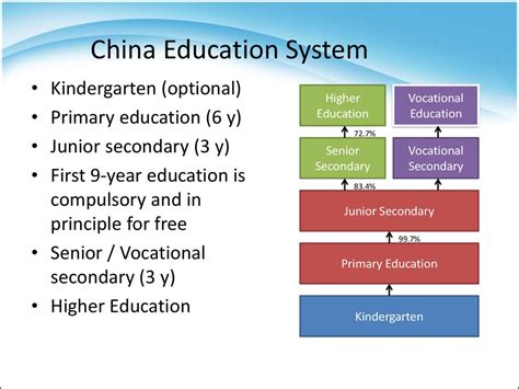 Education system in China - презентация онлайн