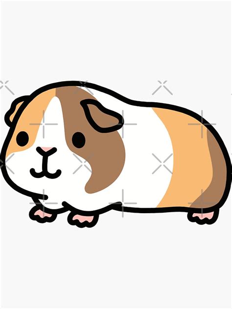 "Guinea Pig" Sticker for Sale by littlemandyart | Redbubble