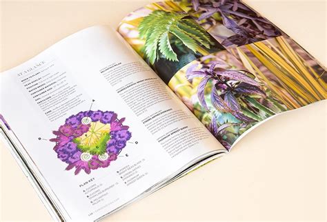 What’s in the magazine? | Garden Design