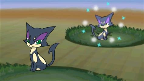 [Live] Shiny Purrloin after 7,703 REs (Black 2) - YouTube