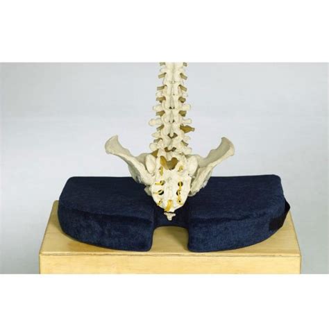 Tailbone Cushion - Coccyx Pain Relief When Sitting