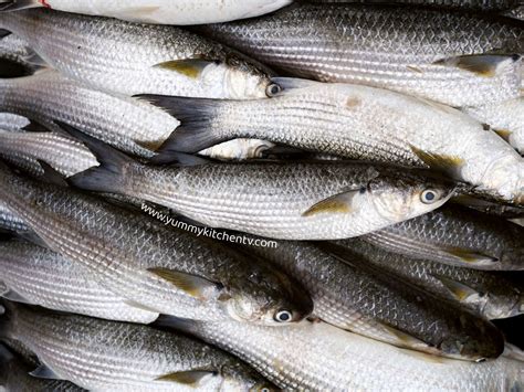 Bangus or Milkfish ? The National fish of the Philippines - Yummy Kitchen