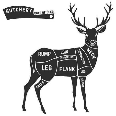 Deer Processing Near Me Waupun | Venison Meat Ripon | Brandon Meats