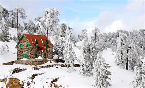 Troodos mountains in snow. House surrounded by snow in Troodos ...