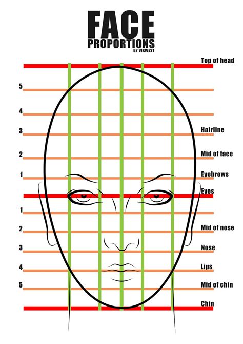 Female Face proportions by vik-west.deviantart.com on @deviantART ...