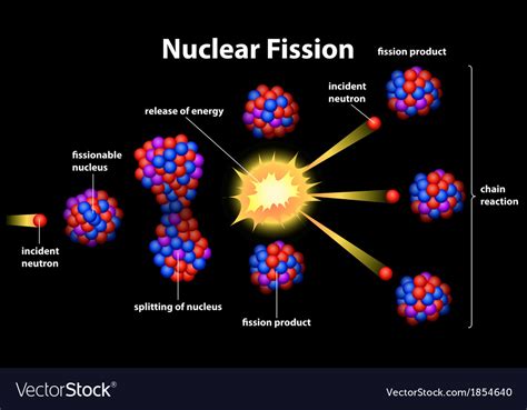 Nuclear fission Royalty Free Vector Image - VectorStock