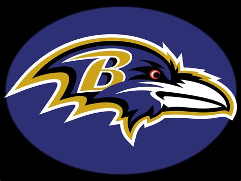 My love for the Baltimore Ravens | Life of Roya