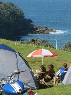 Goat Island Camping, New Zealand | The New Zealand Camping Guide Goat Island Camping, New Zealand