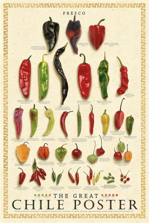 'The Great Chile Poster (dried)' Art - Mark Miller | AllPosters.com | Stuffed peppers, Types of ...