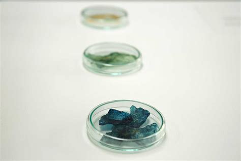 Medusae project – Jellyfish bio-based materials, research