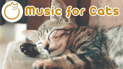 EXTENDED Cat Music! Relaxing Music for Cats and Kittens (NEW 2019 ...