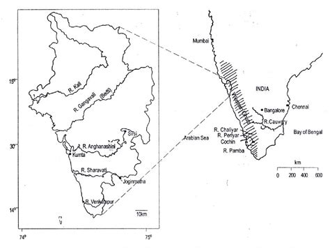 Figure 1 from A new species of the genus Batasio Blyth (Siluriformes ...