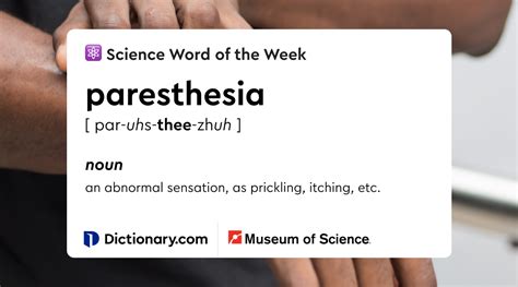 Word of the Day - paresthesia | Dictionary.com