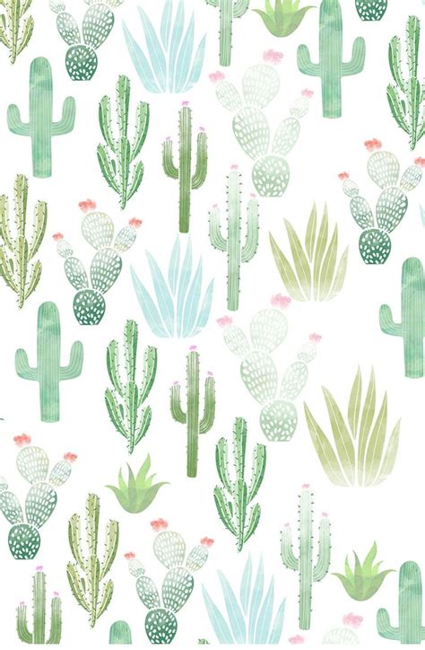 Cactus Pink Aesthetic Wallpapers - Wallpaper Cave