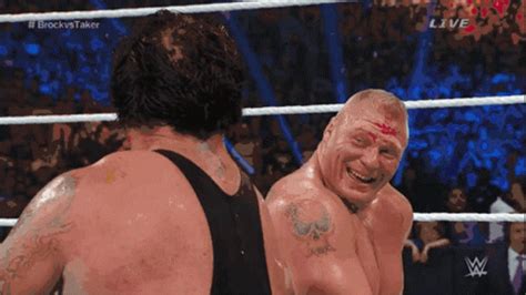 Undertaker Brock Lesnar GIF - Undertaker Brock Lesnar Undertaker Vs ...