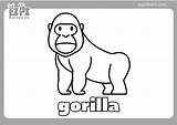 Gorilla Coloring Pages sketch template