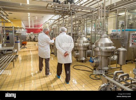 Workers at Dairy factory. MS Dairies, Selfoss, Iceland Stock Photo ...