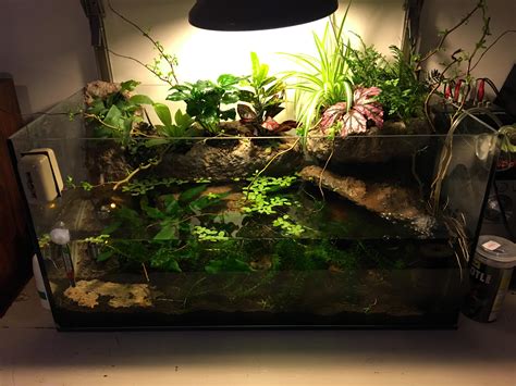 My new axolotl DIY build! : Aquariums