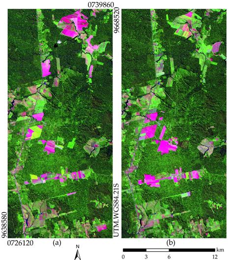 Images: (a) LANDSAT5/TM image from 23 June 2008 5(R)4(G)2(B); (b ...