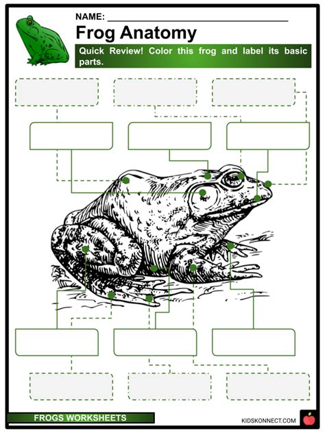 Printable Fun Facts About Frogs For Kids To Print And Learn, 41% OFF