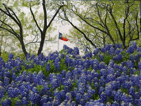 Texas Flag Wallpaper Desktop - WallpaperSafari