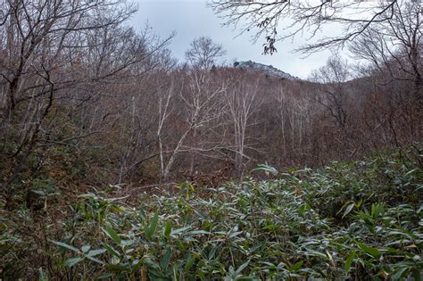 Ice capades on magic mountain-Climbing Mount Zao without the cable car-Japan-Yamagata-Hiking ...