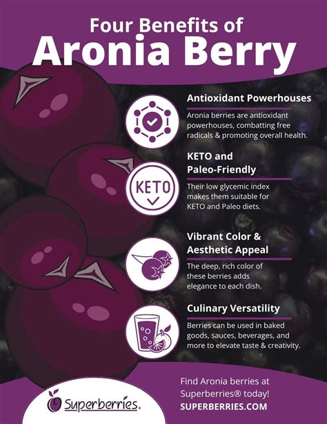 Why Use Aronia Berry in Your Holiday Recipes Instead of Other Berries?