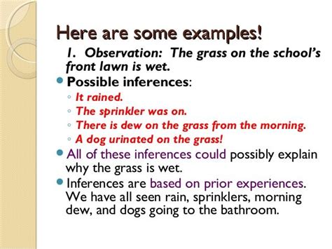 What is an Inference in Science - MichelleknoeDodson