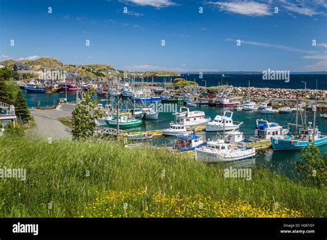 Conception bay canada hi-res stock photography and images - Alamy