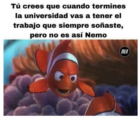 Nemo aprendiendo la realidad - Meme by BichoTRECE :) Memedroid