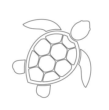 How To Draw A Sea Turtle Step By Step